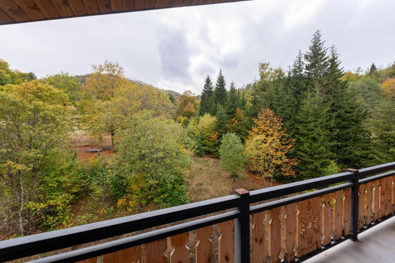 - Didveli Residence Lux Apartments - Bakuriani Exteriör bild