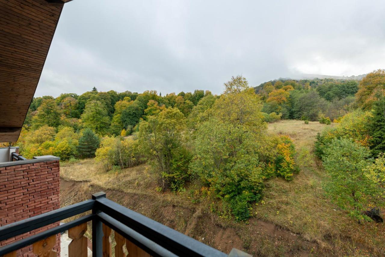 - Didveli Residence Lux Apartments - Bakuriani Exteriör bild
